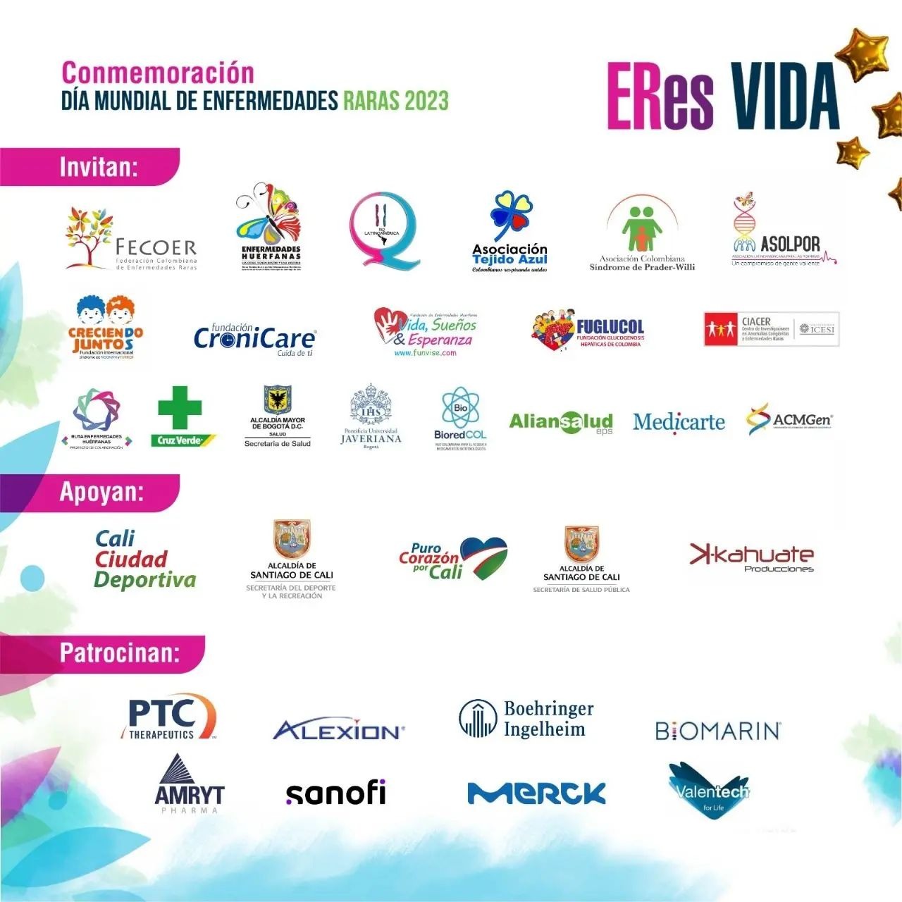 Imagen 6